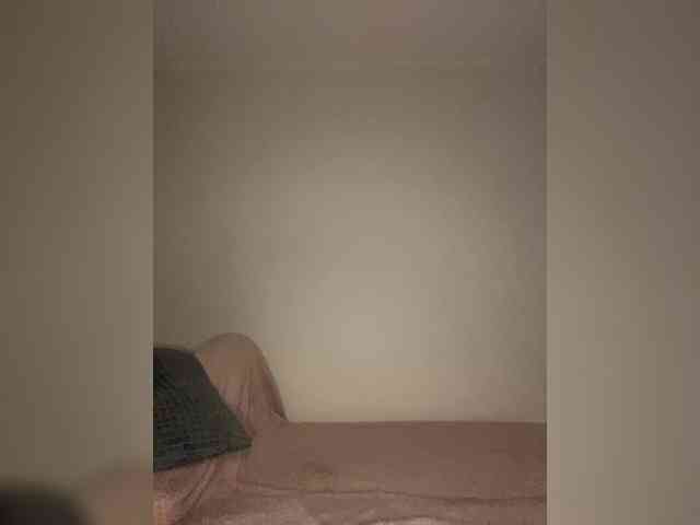 LINA_A webcam