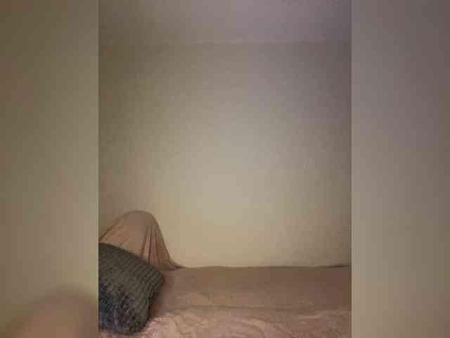 LINA_A webcam