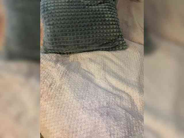 LINA_A webcam