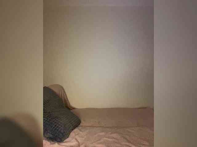 LINA_A webcam