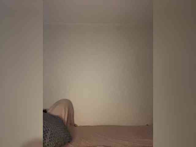 LINA_A webcam
