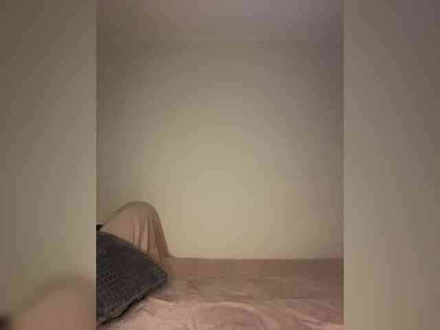 LINA_A webcam