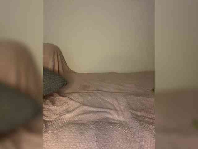 LINA_A webcam