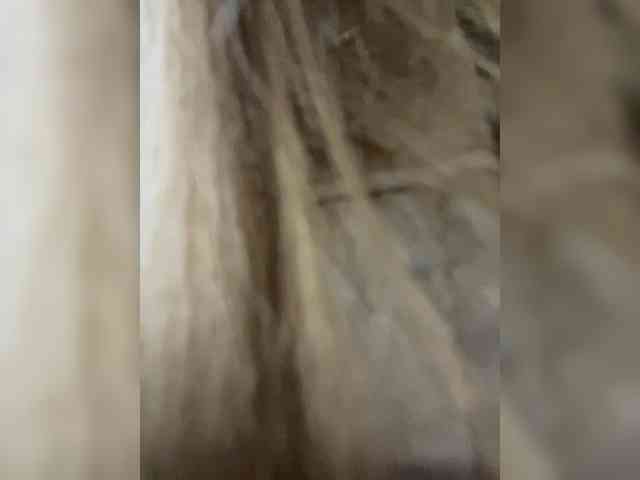 Sweet-emily1 Sweet-emily1