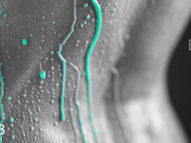 -Angelina1-'s BongaCams show and profile