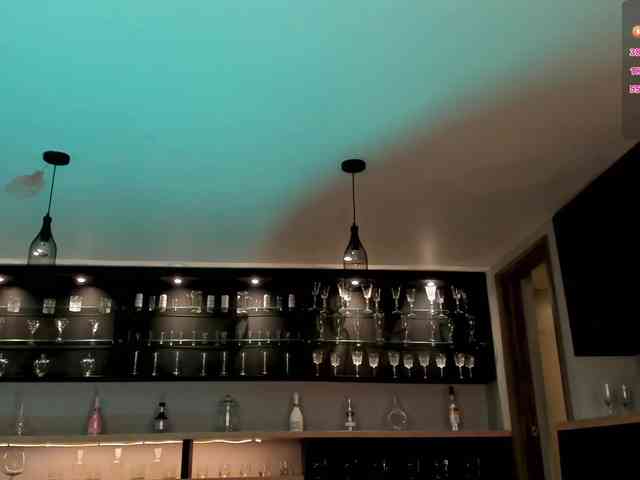 SophiePalmer webcam