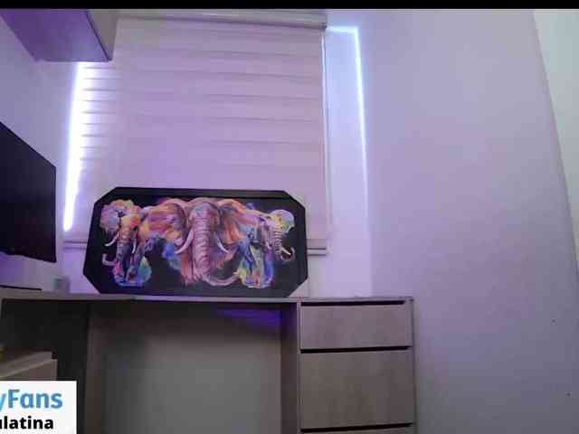 sofirousel webcam