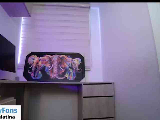 sofirousel webcam