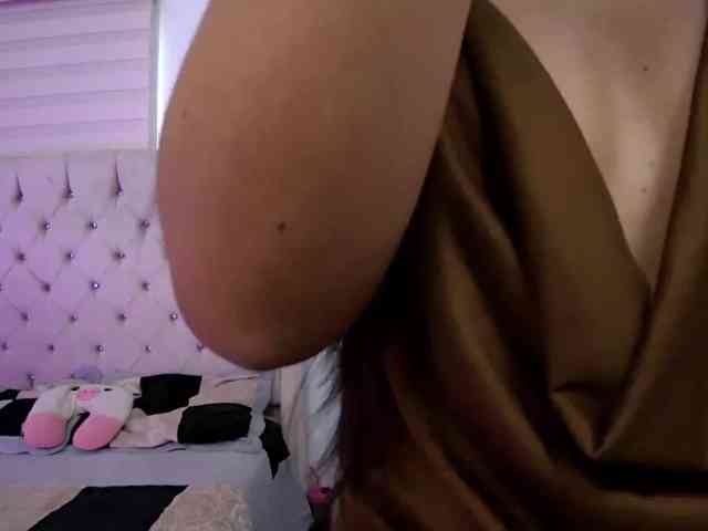 sofirousel webcam
