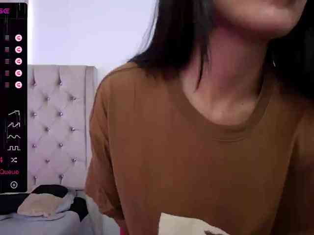 sofirousel webcam