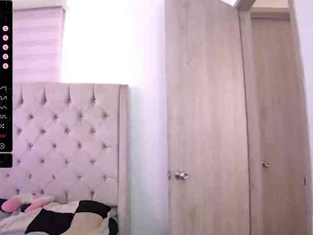 sofirousel webcam