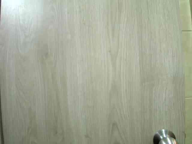 sofirousel webcam