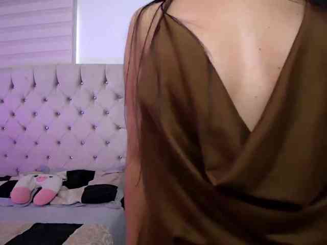 sofirousel webcam