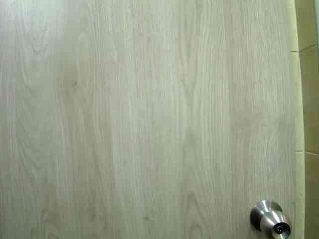 sofirousel webcam