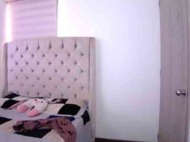 sofirousel webcam