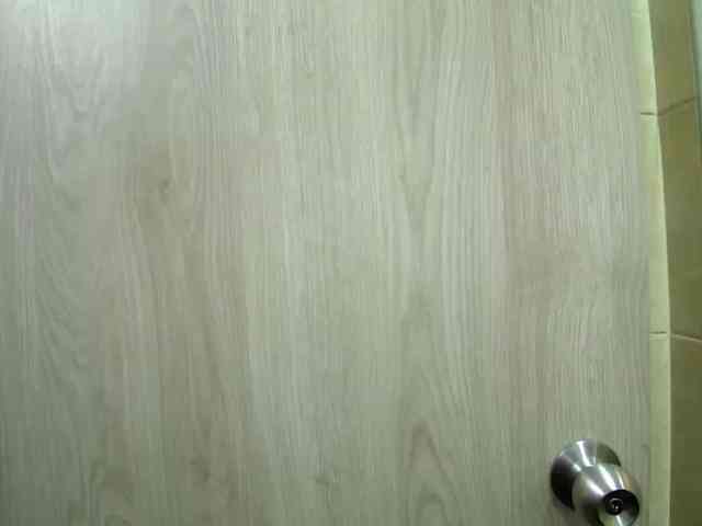 sofirousel webcam