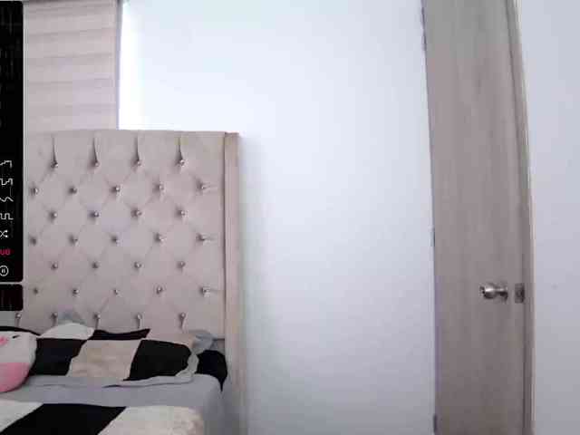 sofirousel webcam