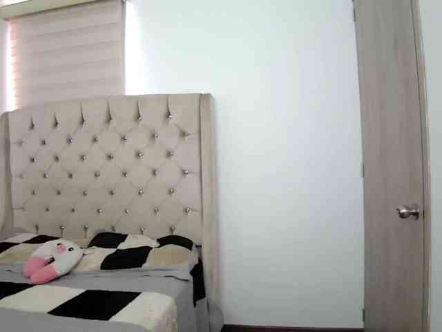 sofirousel webcam