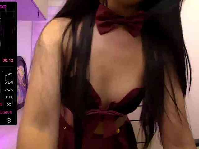 sofirousel webcam