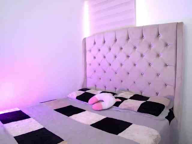sofirousel webcam