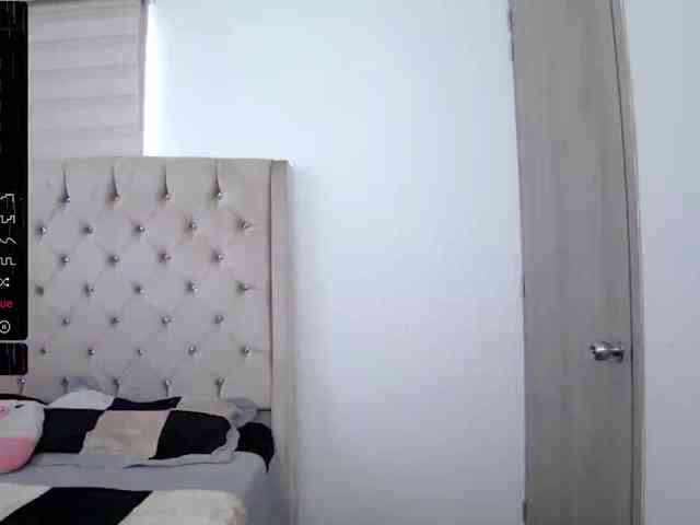 sofirousel webcam