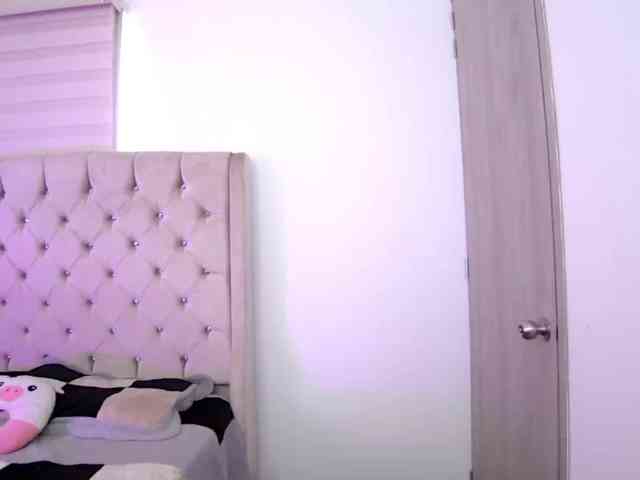 sofirousel webcam