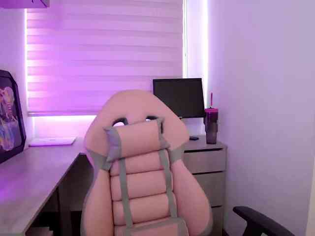 sofirousel webcam