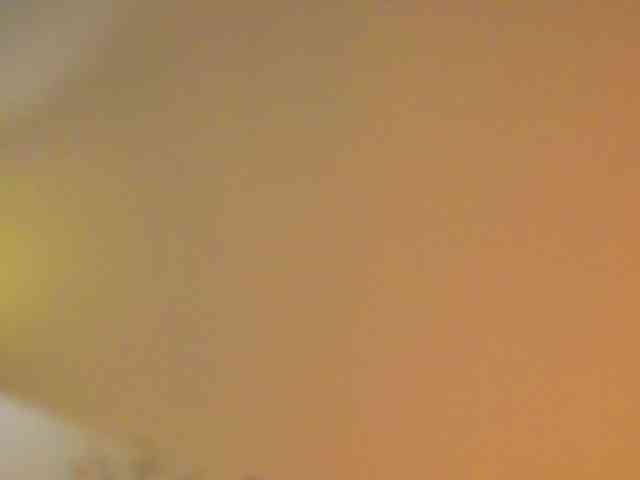 miachill Live Webcam on BongaCams