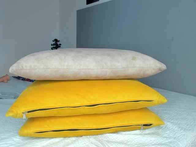 molly-rosse molly-rosse