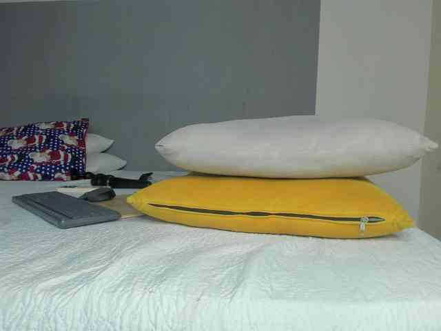 molly-rosse molly-rosse