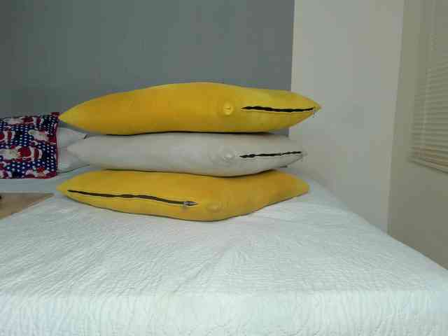 molly-rosse molly-rosse