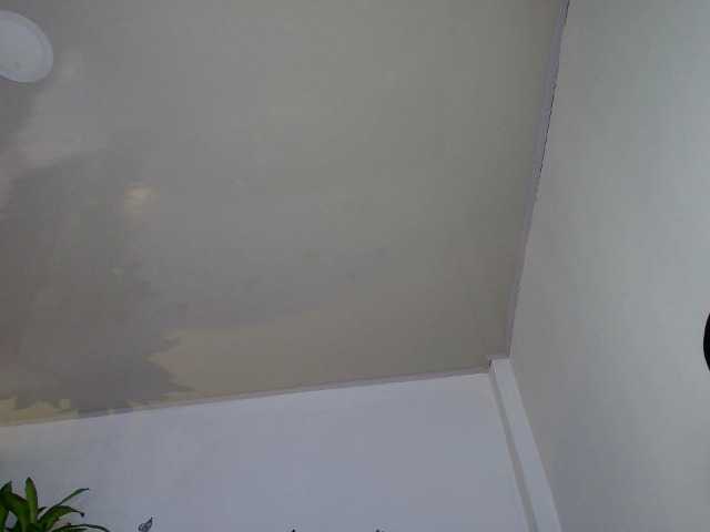 victoriablack's BongaCams show and profile