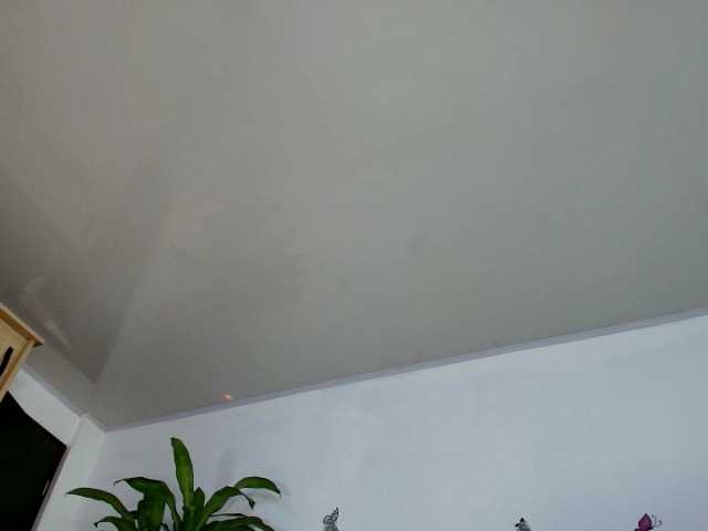 victoriablack's BongaCams show and profile