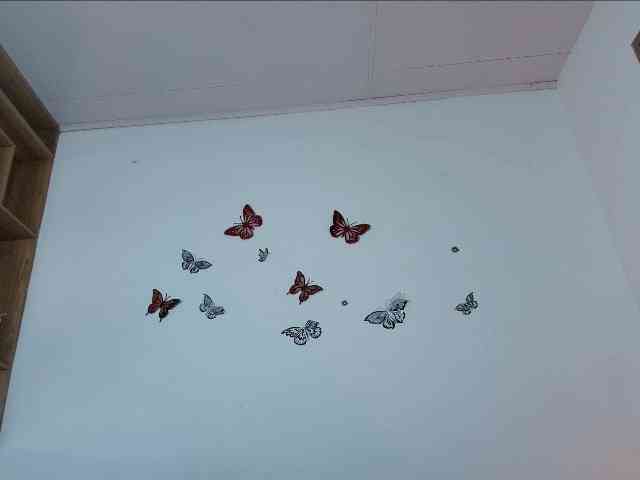 victoriablack victoriablack