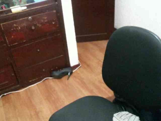 fierywoman webcam