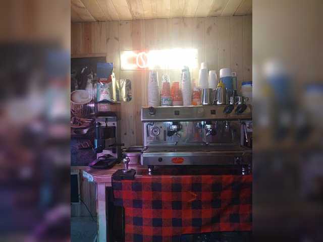 Katriona's BongaCams show and profile