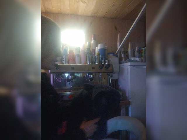 Katriona's BongaCams show and profile