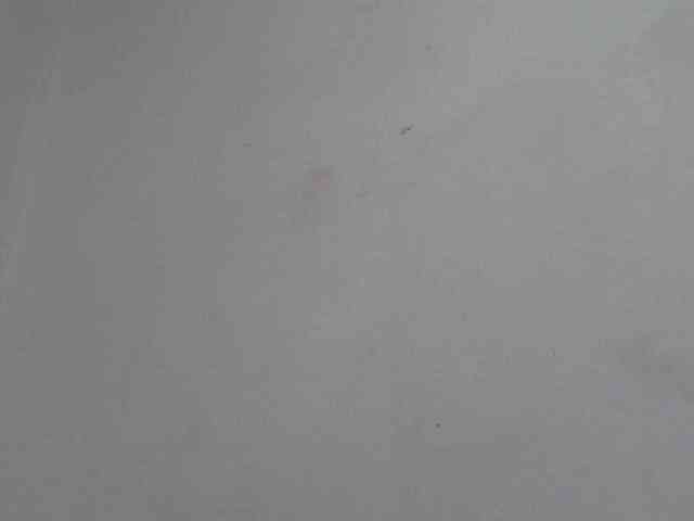 Lolahshow webcam