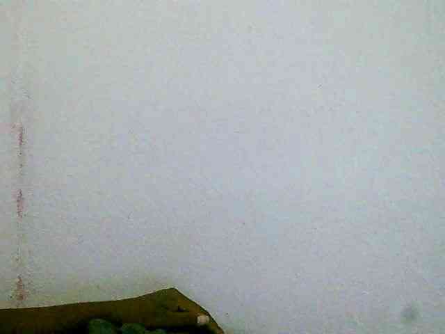 rasoaidah webcam