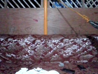 LovelyShaxxx3 Porn Show