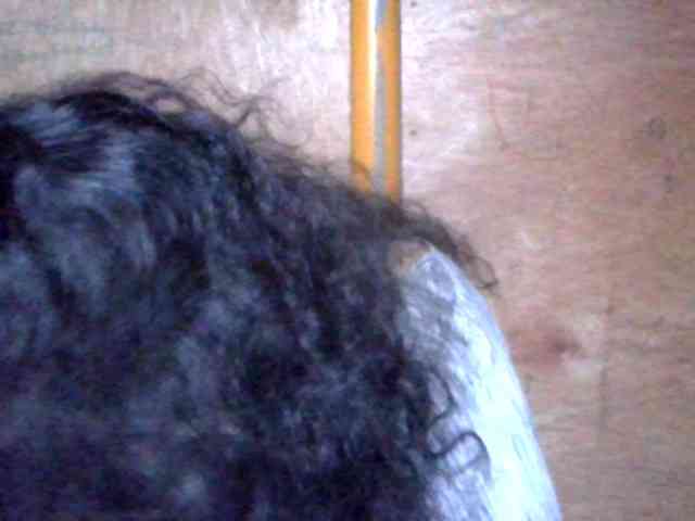 LovelyShaxxx3 webcam