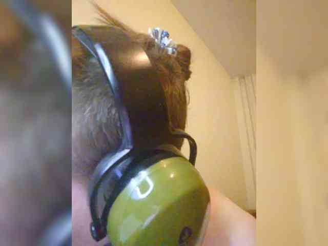 Magretta_Dering webcam