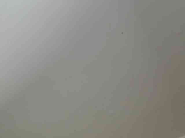 lisacarson webcam