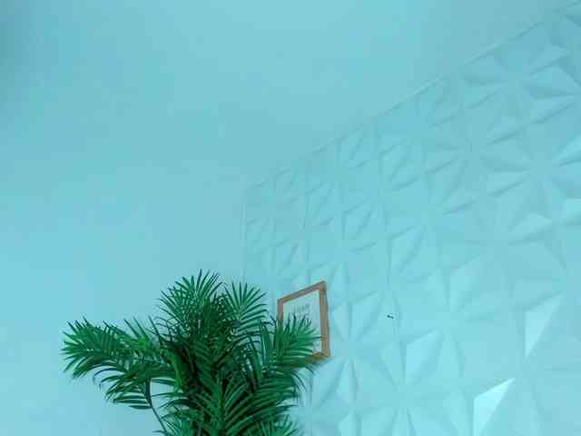 Hellen-Sky webcam