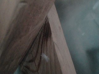 YasminaGeil Porn Show