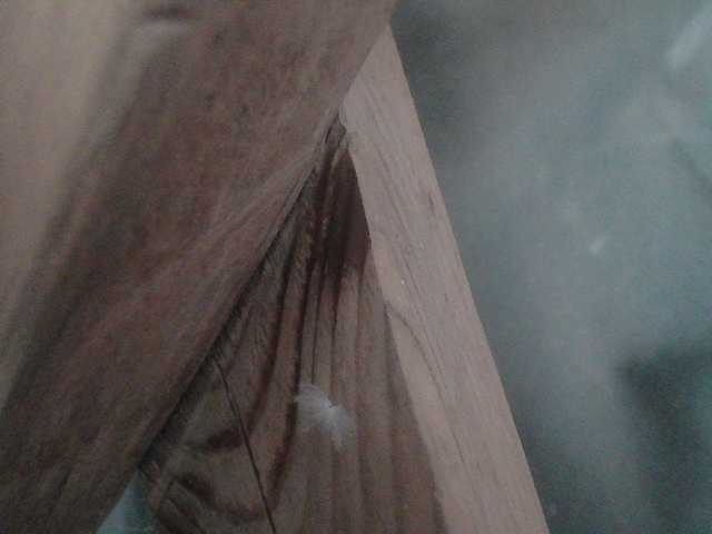 YasminaGeil Live Cam and Statistics on UnifiedCams