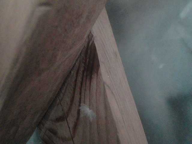 YasminaGeil Live Cam on BongaCams and RICams