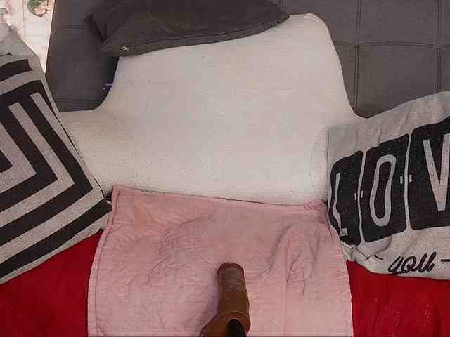is-amelia webcam