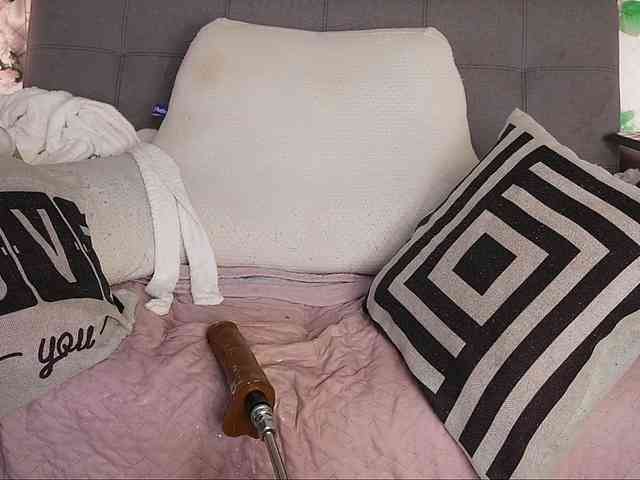is-amelia webcam