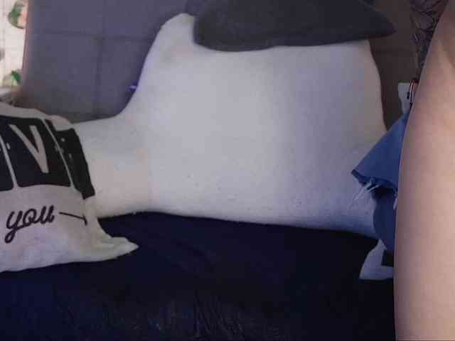 is-amelia webcam